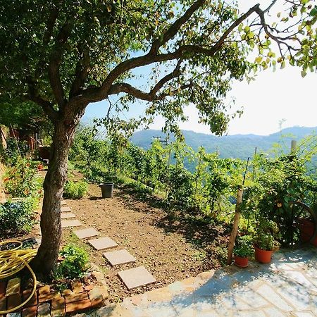 Agriturismo Costamagna ノーリ エクステリア 写真