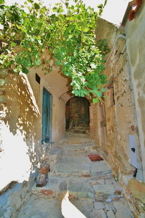 Agriturismo Costamagna ノーリ エクステリア 写真